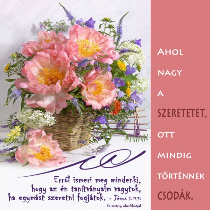 Ige