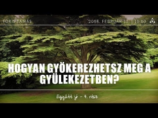Hogyan gyökerezhetsz meg a gyülekezetben?