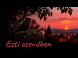 Esti csendben