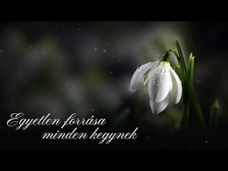 Egyetlen forrása minden kegynek