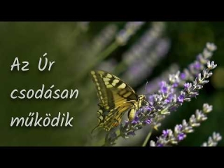 Az Úr csodásan működik